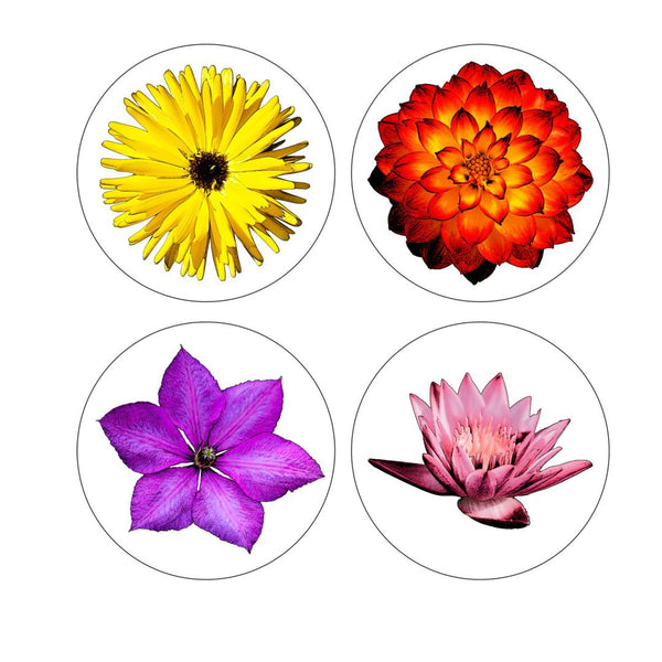 Flower Coasters - Round with Cork Bottom, Set of 4