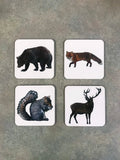 Woodland Animals Coasters Square with Cork Bottom (Set of 4)