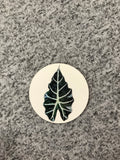 Plant Coasters Round with Cork Bottom (Set of 4)