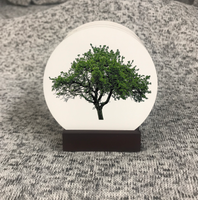 Tree Coasters Round with Cork Bottom (Set of 4)