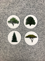 Tree Coasters Round with Cork Bottom (Set of 4)