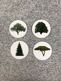Tree Coasters Round with Cork Bottom (Set of 4)