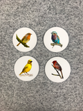 Woodland Bird Coasters Round with Cork Bottom (Set of 4)