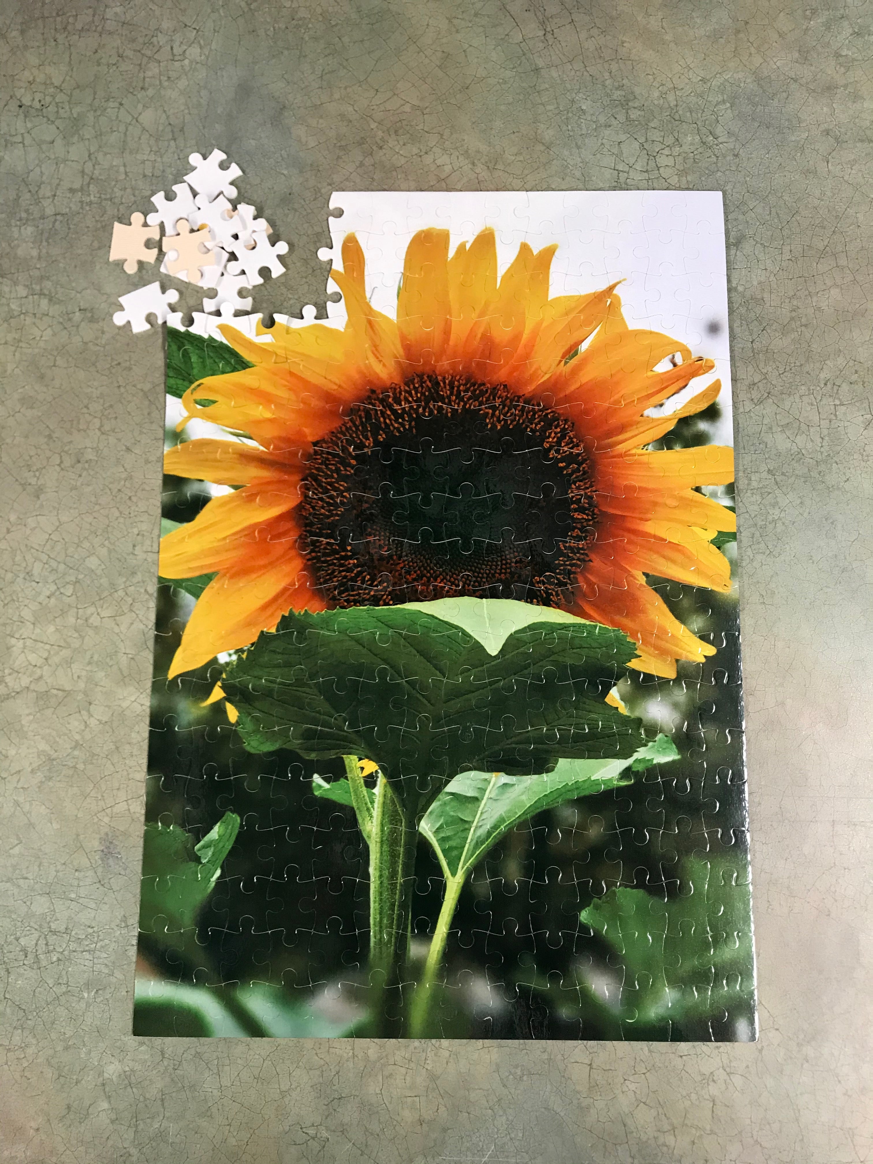 Personalized Photo Puzzle, 252 Pieces - Create Your Own